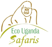 Eco Uganda Safaris