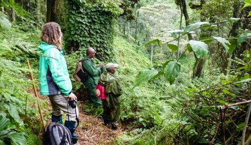 primate-watching-safety-tips